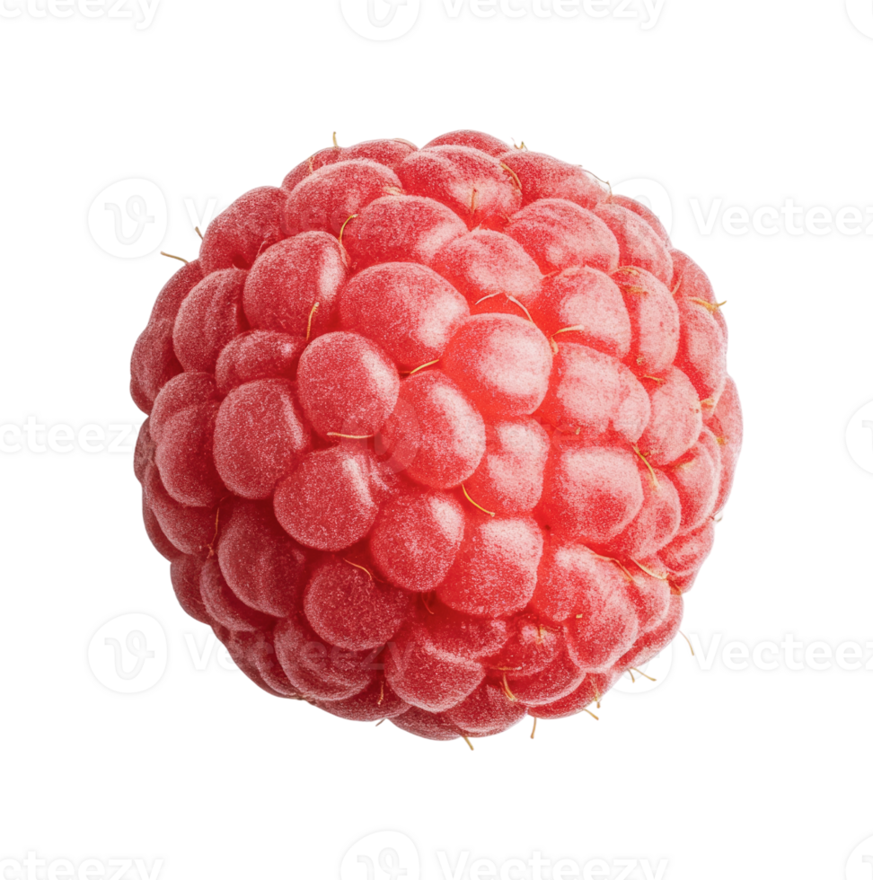 Close-up of fresh frosted raspberry isolated on black background png
