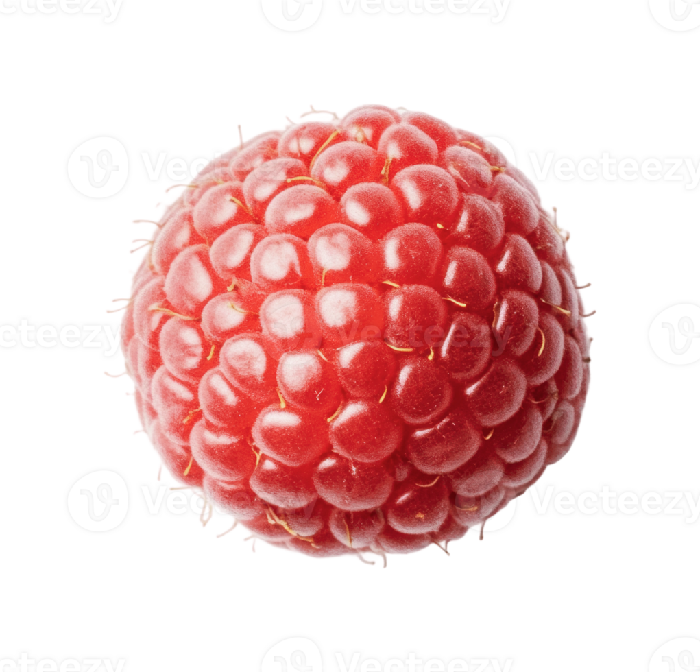 Close-up of a fresh, ripe raspberry on a white background png