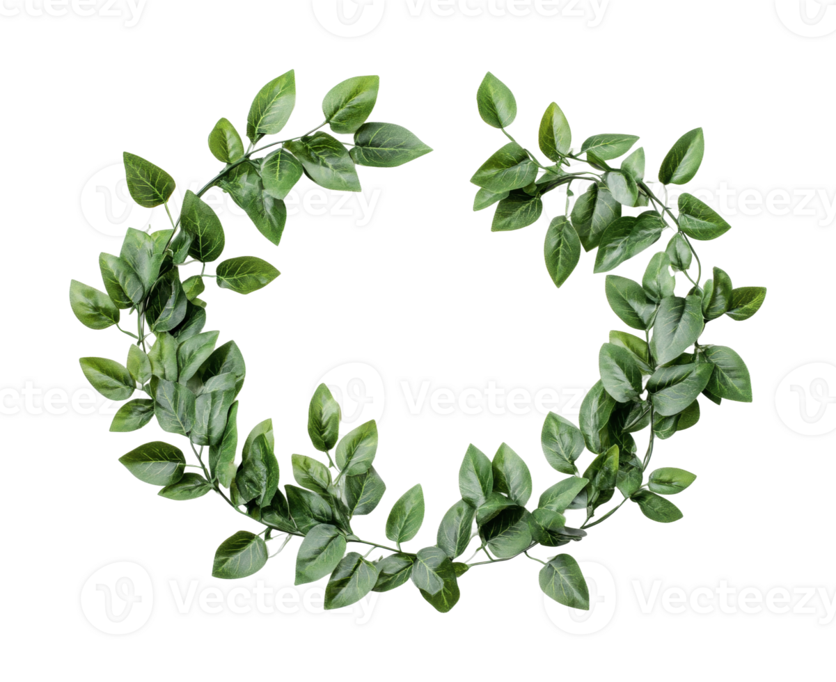 Green leafy wreath on black background for nature and decoration themes png