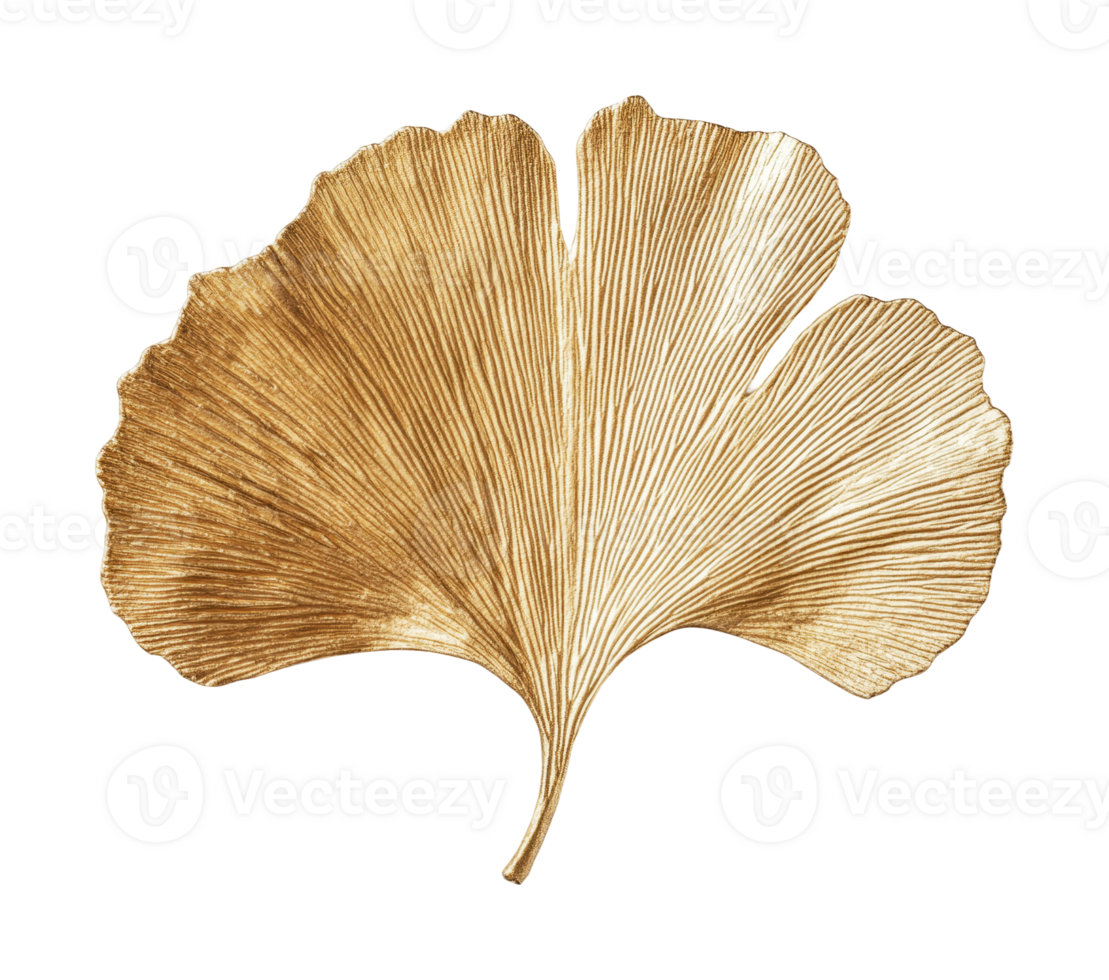 Elegant gold ginkgo leaf displaying intricate veins against black png