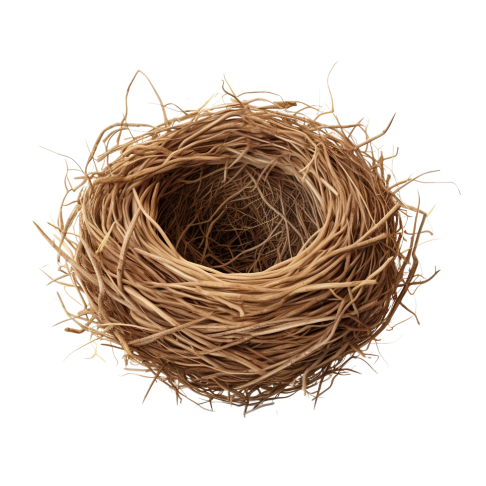 Empty bird nest woven natural twigs fibers png
