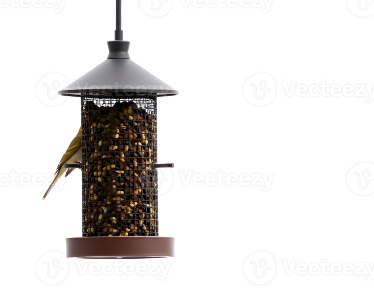Bird feeder with seeds isolated on transparent background png