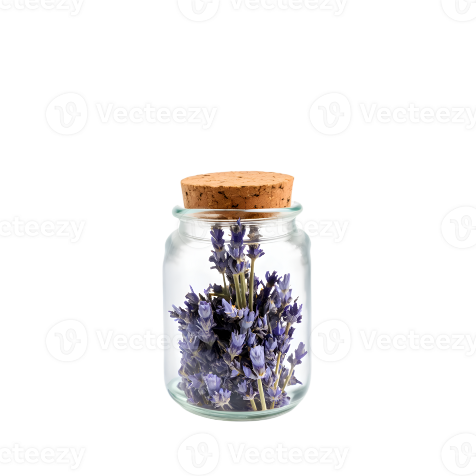 Lavender flowers in a glass jar isolated on transparent background png