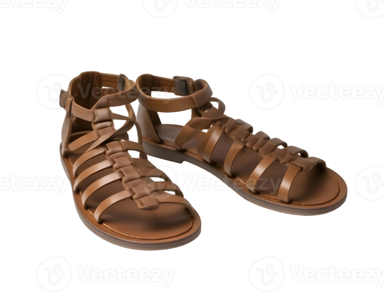 Brown sandals isolated on transparent background png