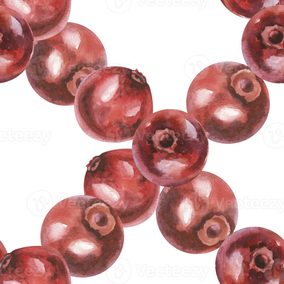 Cranberries botanical seamless pattern with red fresh berries in macro illustrations. Hand drawn forest eco food background, floral painting on northern berry for textile, fabric design png