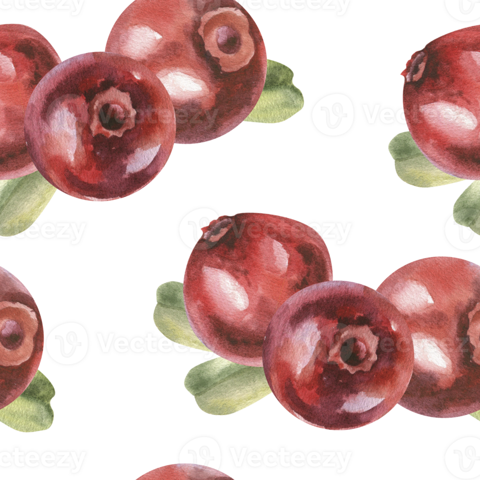 Cranberries watercolor seamless pattern. Hand drawn forest red berries background, organic vitamin food texture for home textile, fabric design png
