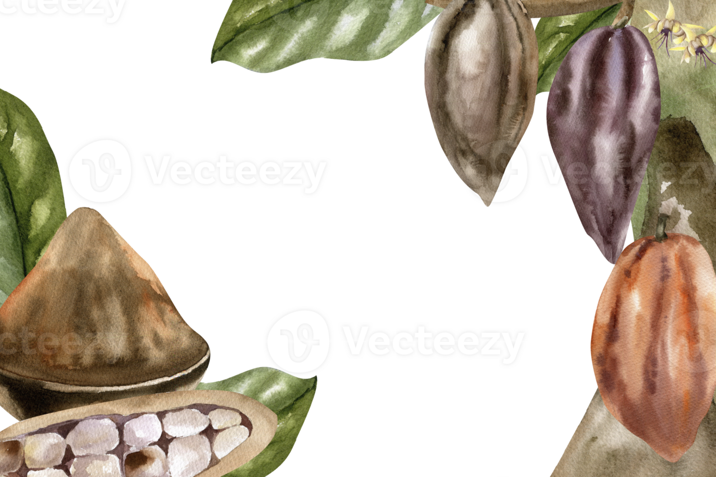 Cocoa watercolor template. Cocoa pods hanging on tree,cocoa beans and powder decorated with leaves isolated banner, hand drawn frame for coffee, chocolate packing, label, logo design.Vegan sweet food png