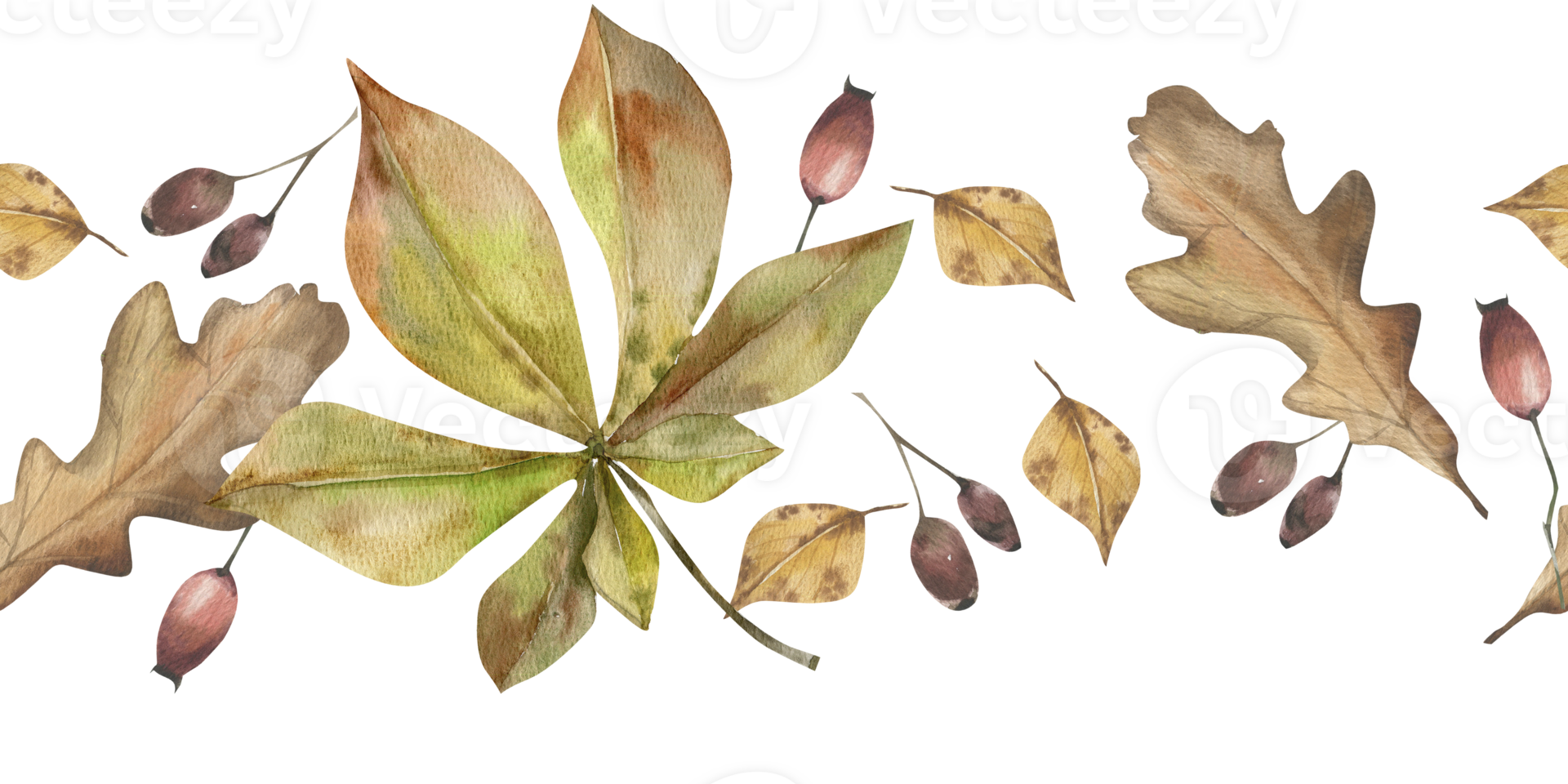 Autumn floral watercolor seamless border with red berries, linden leaves and chestnut illustration. Isolated fall banner with colorful leaves for kitchen textile, fabric, seasonal web design png