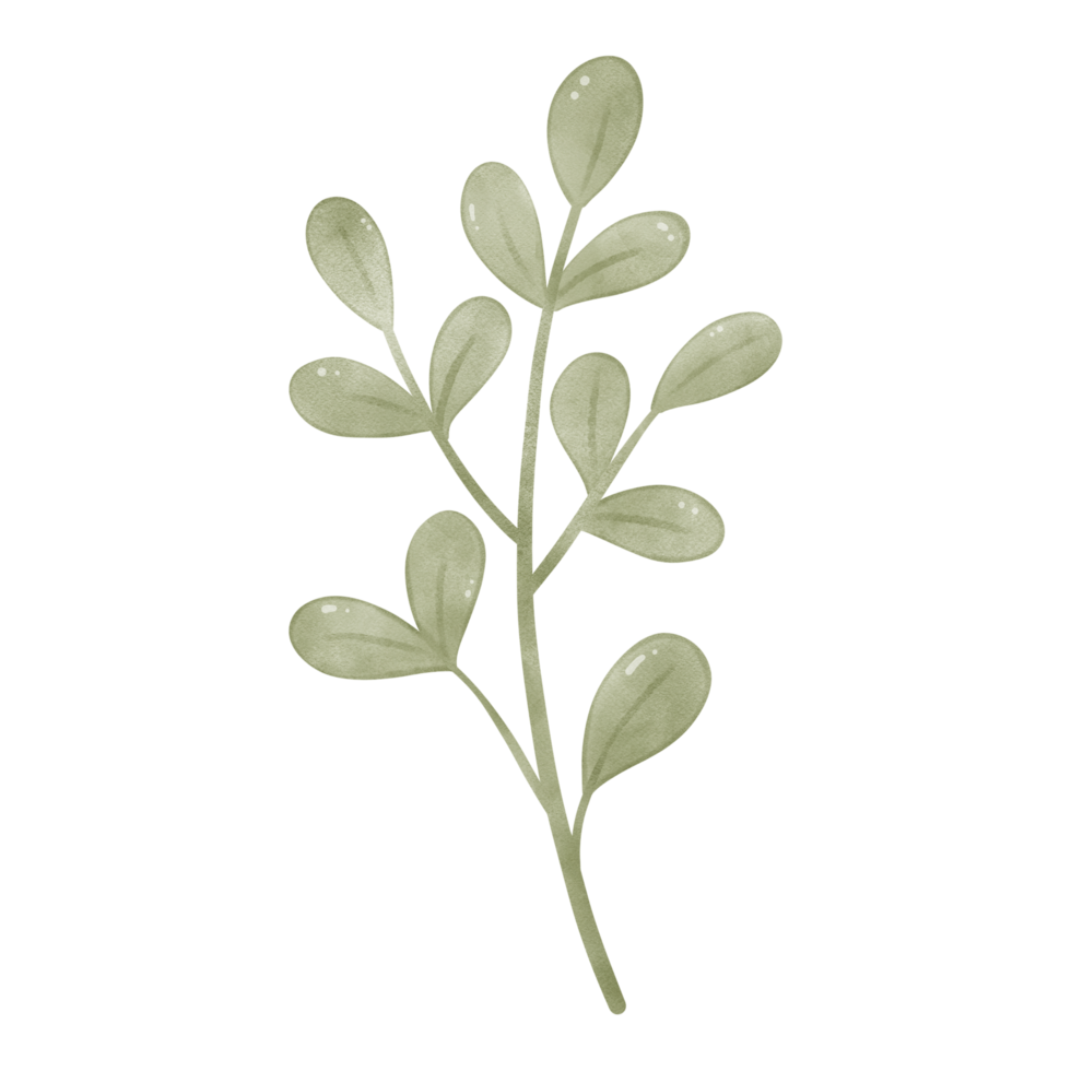 leaf illustration for decoration png