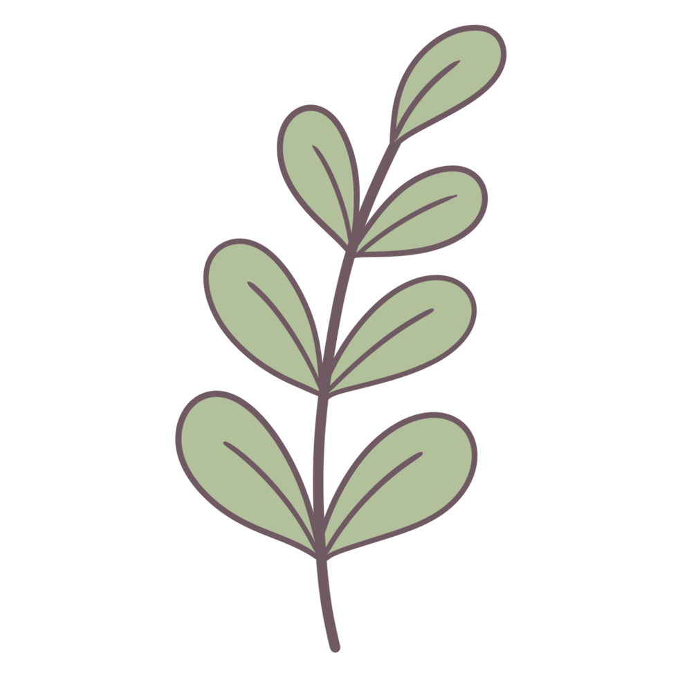 Cute leaf Clipart for Decoration png