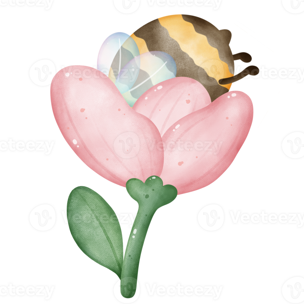 Pink Flower with Bee, Cute Spring Floral and Bee Clipart png