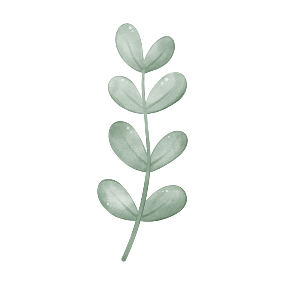 Green leaf illustration for decoration png