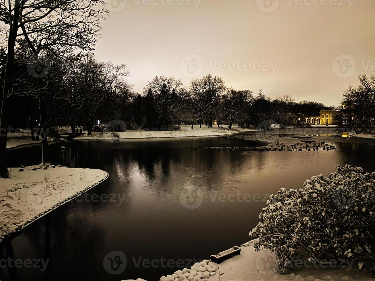 Winter evening landscape of a snowy park with a calm reflective lake photo