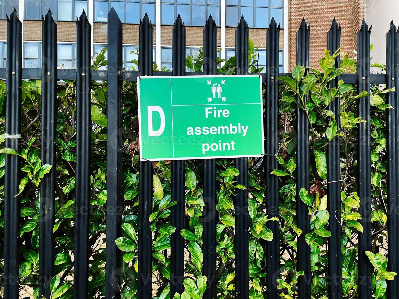 Green fire assembly point sign on black fence with greenery and building background photo