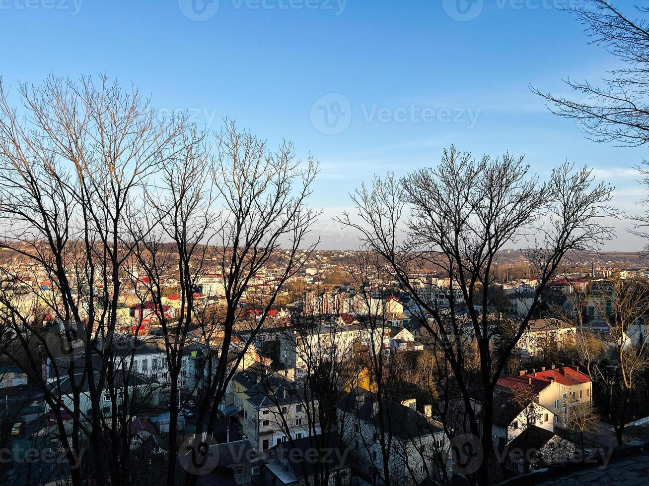 A serene view of a cityscape through leafless trees during a clear day photo