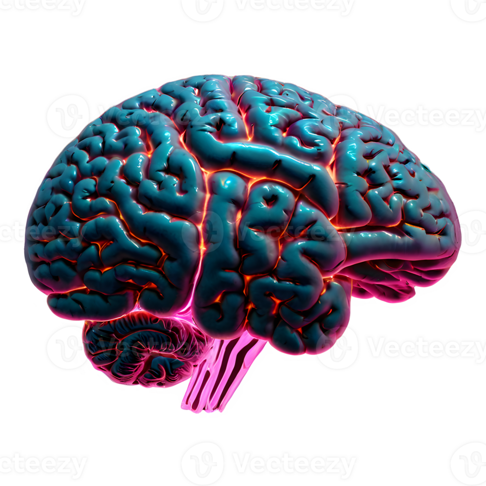 Glowing human brain with neural activity visualization isolated on transparent png