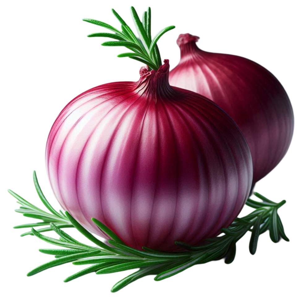Fresh Red Onion with Rosemary png
