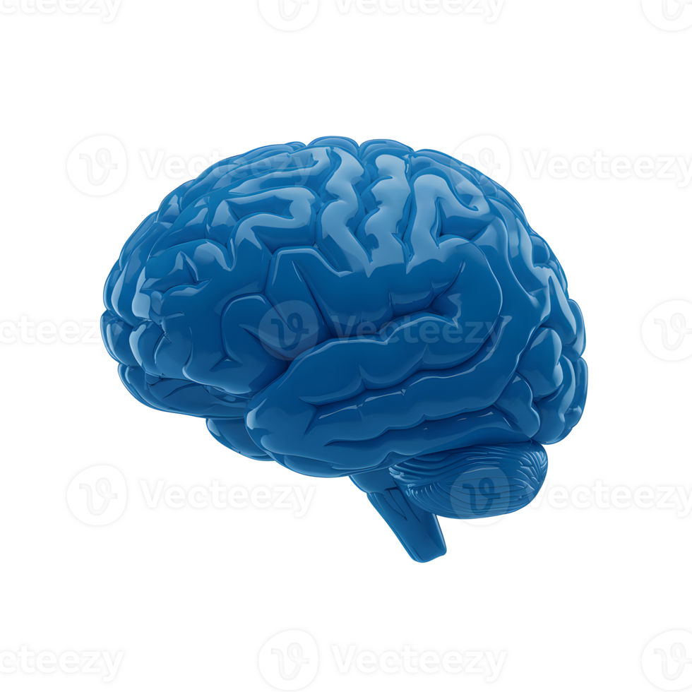 3D render of a blue glass brain with a glossy, reflective surface, isolated on a transparent background, symbolizing intelligence, creativity, and neuroscience png