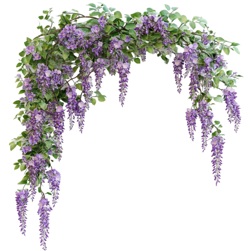 Purple Wisteria Arch Transparent Background png