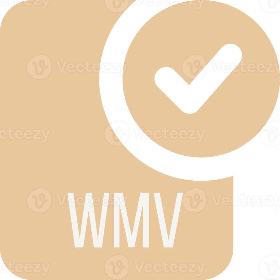 Wmv Ip File Icon With Black Checked Mark Illustration png