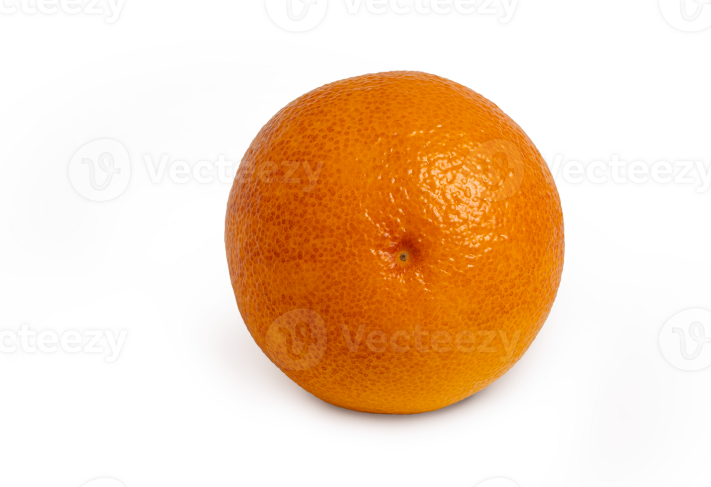 Fresh juicy orange isolated with shadow. Bottom of an orange png