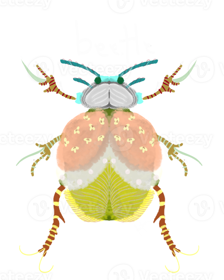 Beetle in Cute Color png