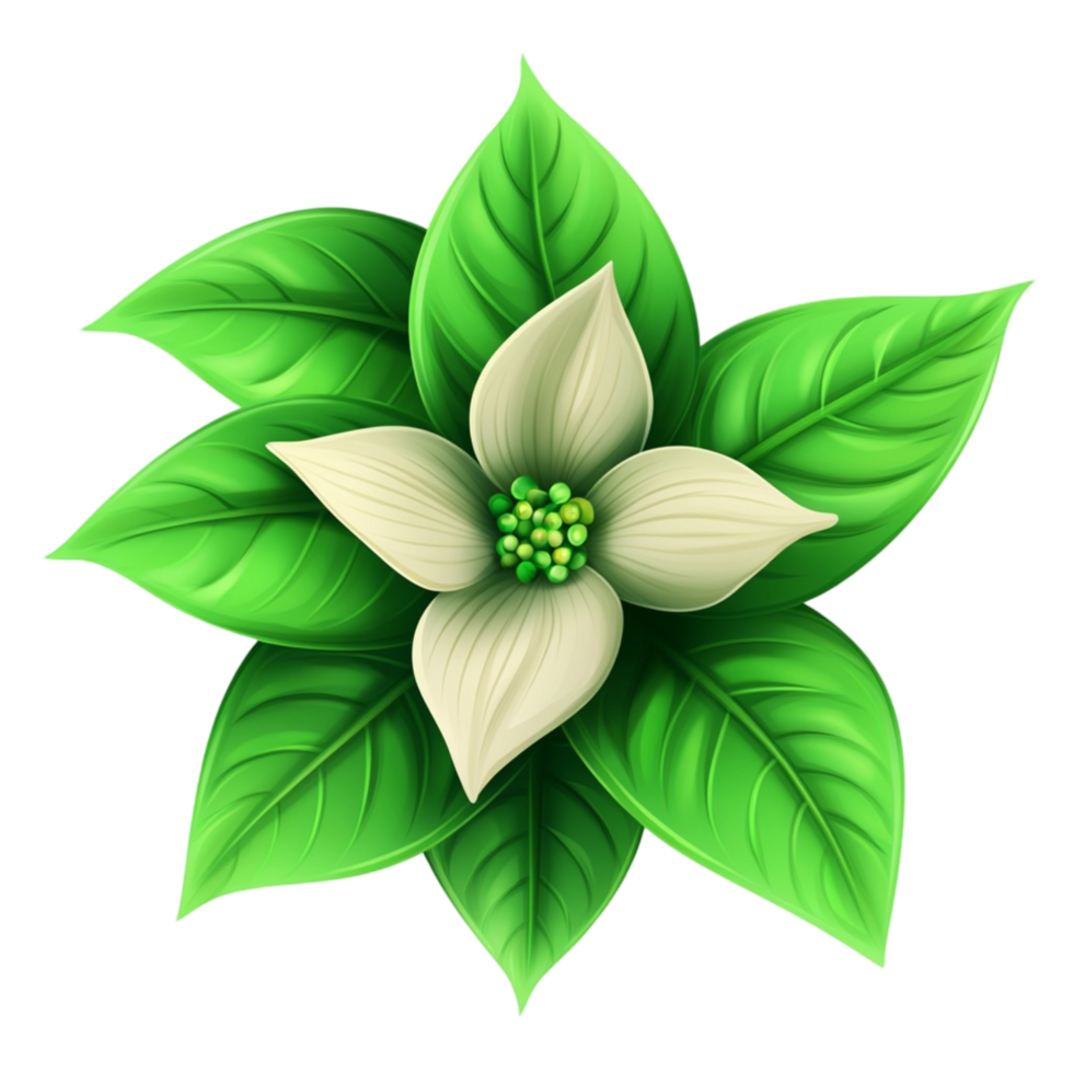 White Bloom with Vibrant Green Leaves png
