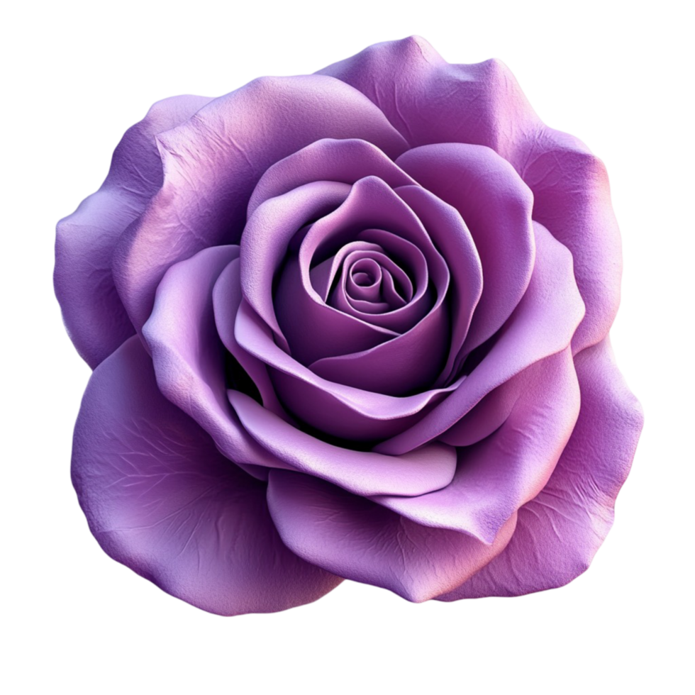 Realistic Purple Rose in Full Bloom png