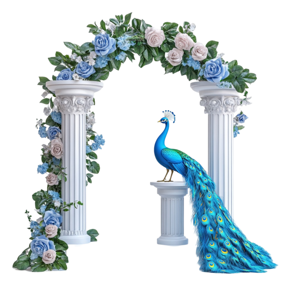 Stunning Peacock on a Beautiful Floral Gate png