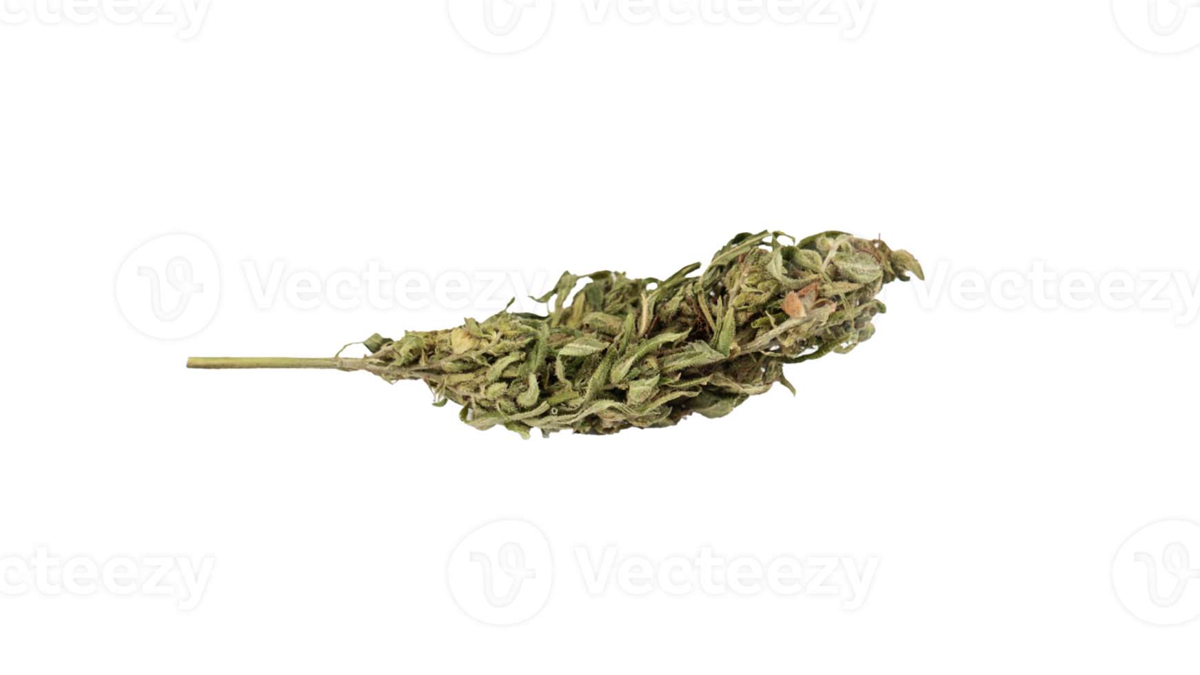 Medical cannabis bud isolated sad png