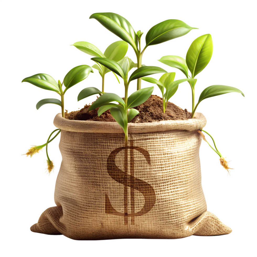 Growing Wealth, Young plants sprout from a money bag, symbolizing financial growth and investment, against an isolated background, creating a powerful visual metaphor for prosperity. png