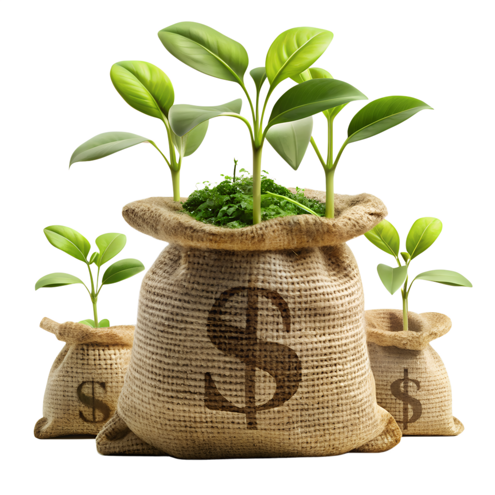 Financial Growth, Seedlings sprout from burlap money bags, symbolizing the growth of investment, set against a simple background, representing financial concepts. png