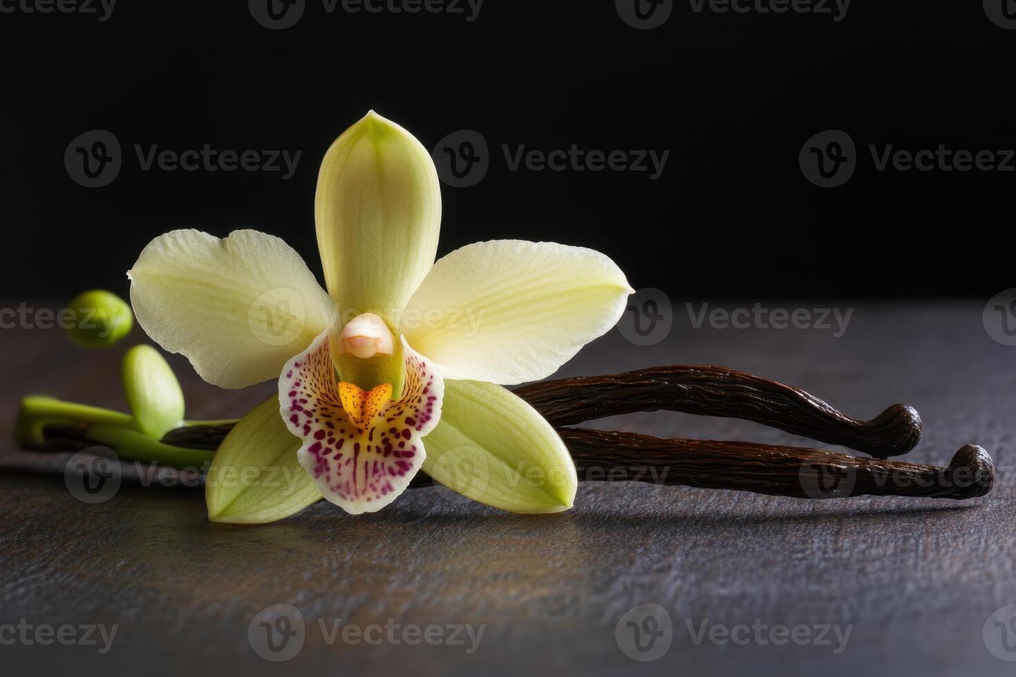 A flower with a brown stem and a brown leaf is on a table photo