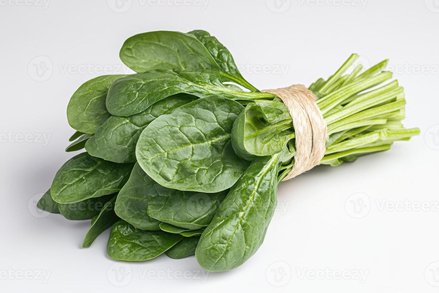 A bunch of fresh spinach is tied together with a string photo