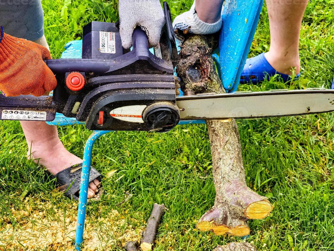 Man cuts down tree with an electric saw. Sawdust flies in all directions from the chainsaw. Cutting wood with a chain saw photo