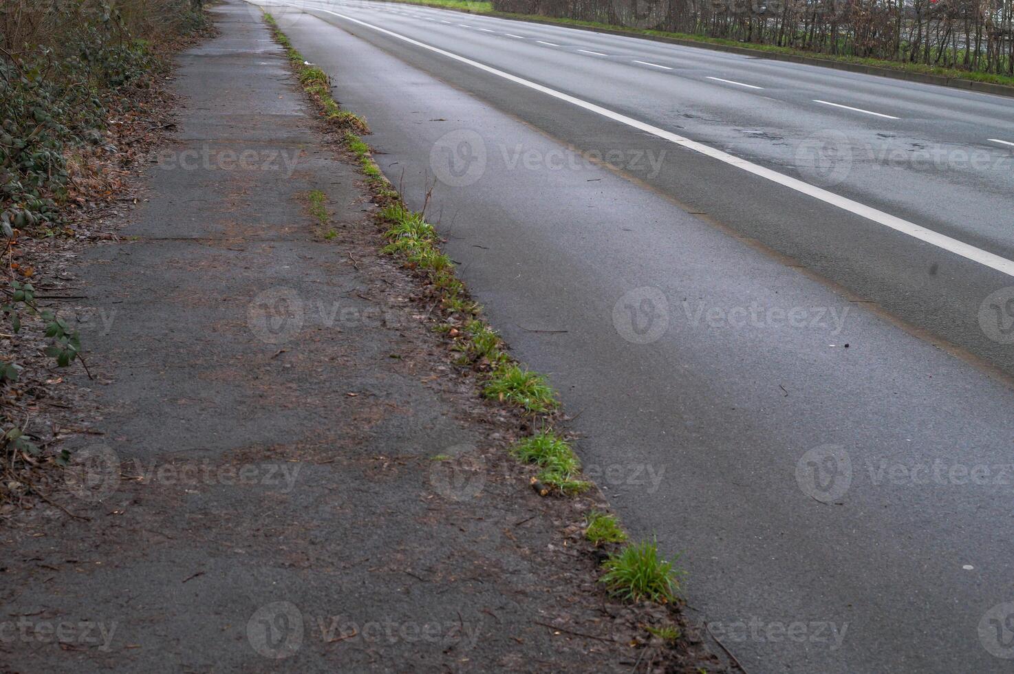 Empty asphalt road with grass growing on the sidewalk photo