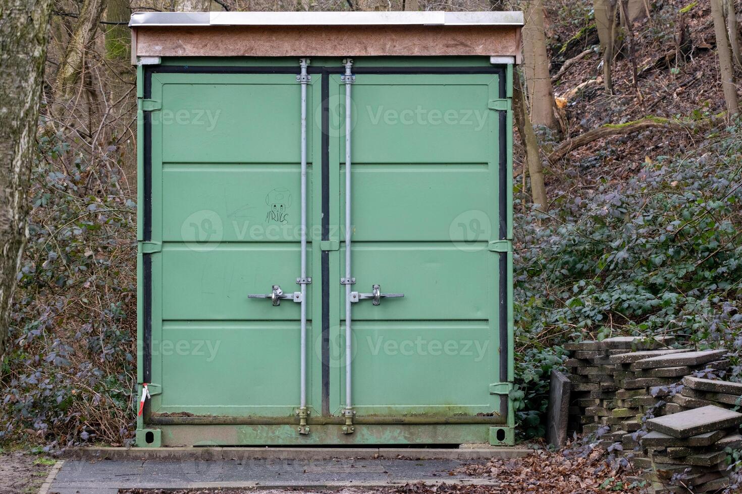 Green shipping container storage unit in a forest setting photo
