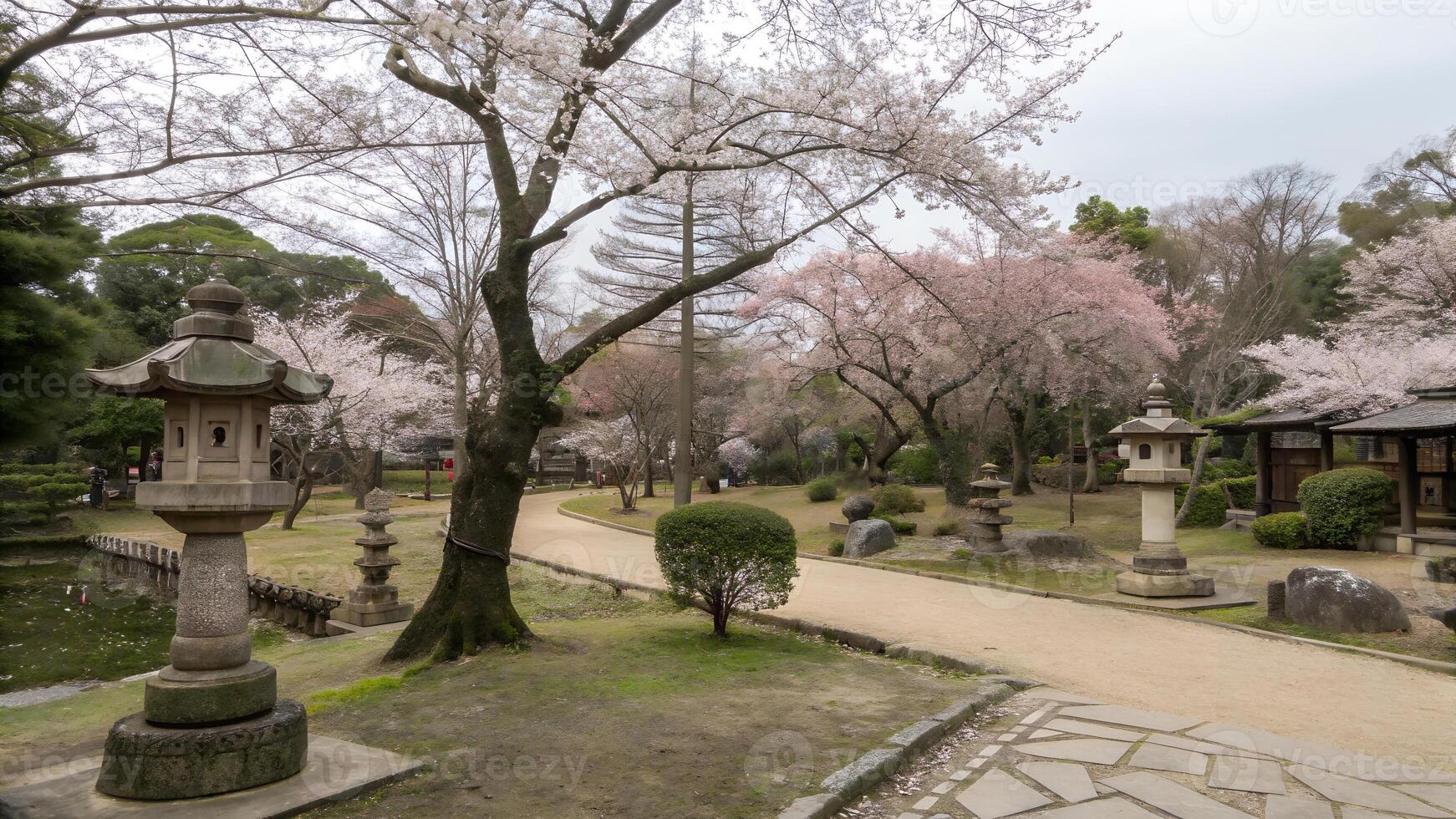 A traditional Japanese-style park with elegant cherry blossom trees, wooden bridges, and a harmonious Zen-like atmosphere. For travel guides, cultural articles, meditation themes photo