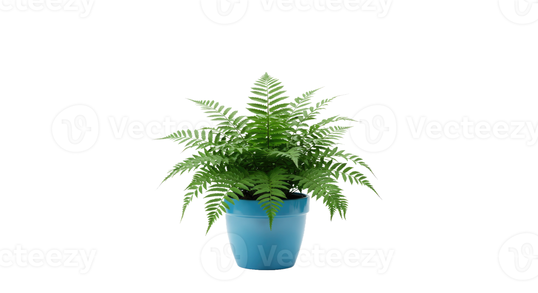 A Lush Green Boston Fern in a Bright Blue Ceramic Pot png