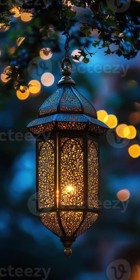 A lantern hanging from a tree with lights photo