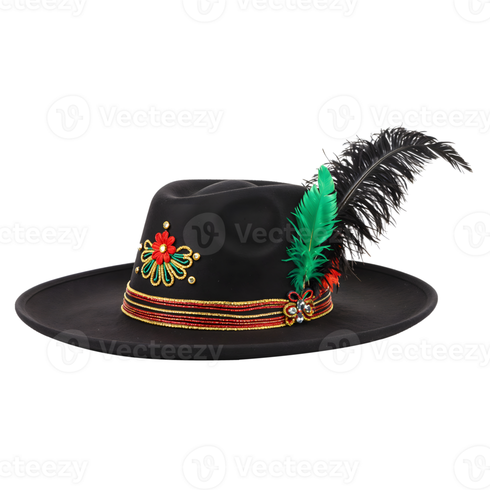 Black German Traditional Hat with Feathers and Flowers png