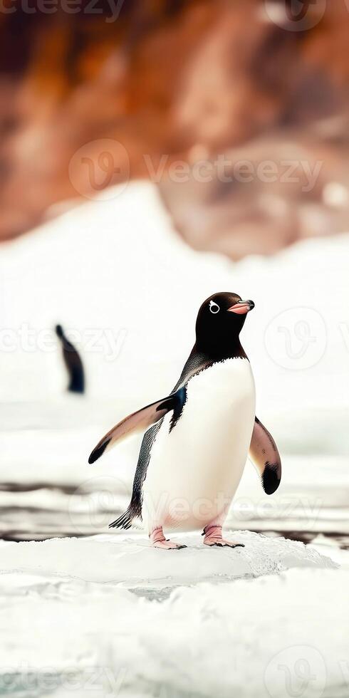Penguin waddles across icy landscape in Antarctica photo