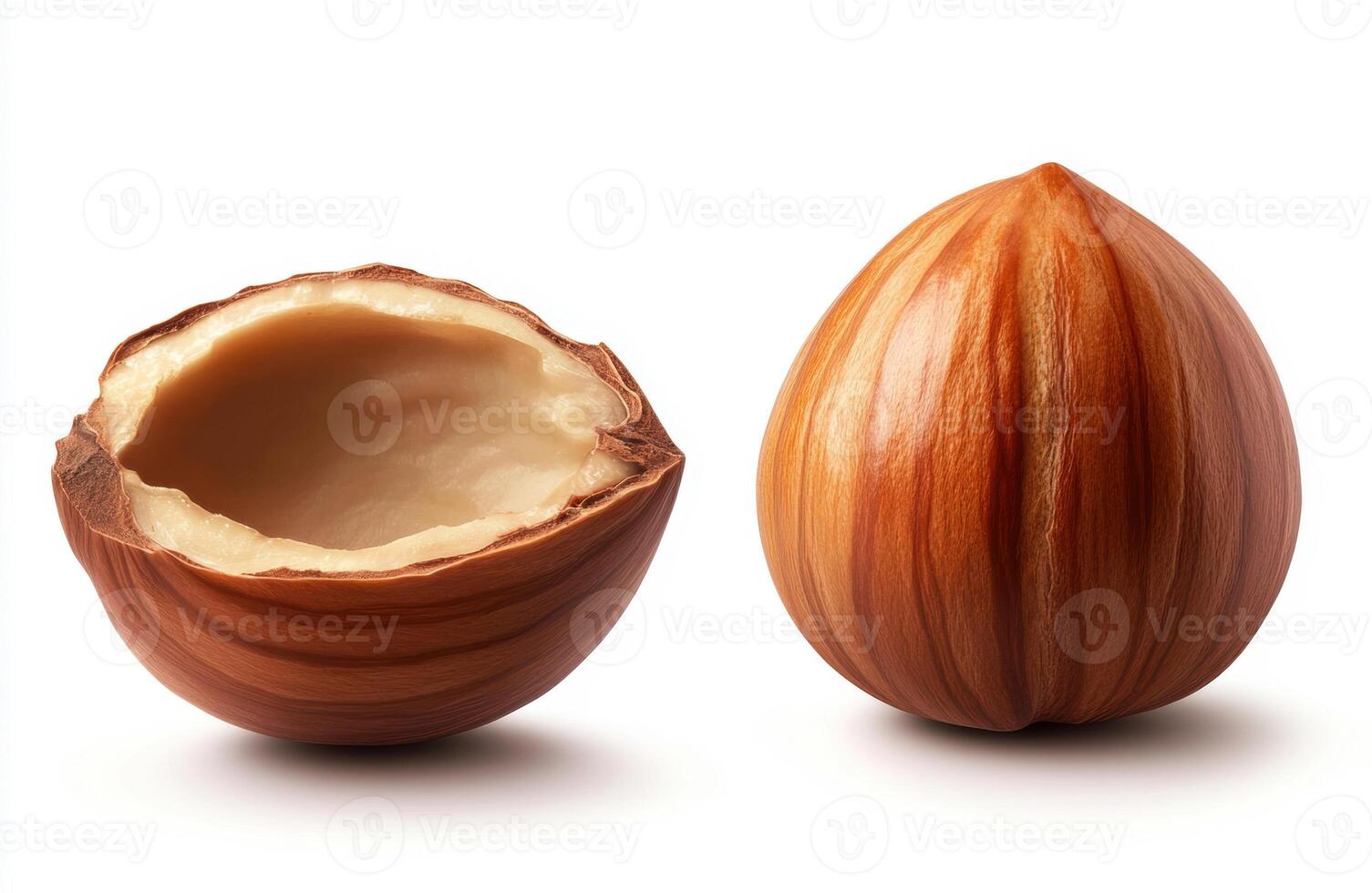 Hazelnuts displayed whole and in shell on white background photo