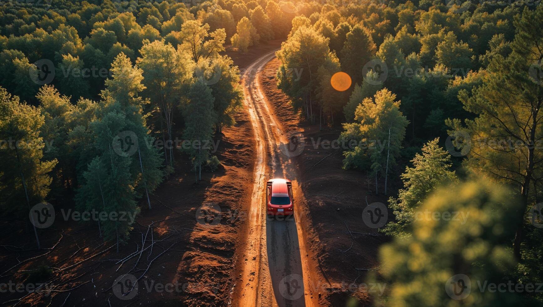 Scenic drive through dense forest at sunset showcasing nature's vibrant colors and tranquil path photo