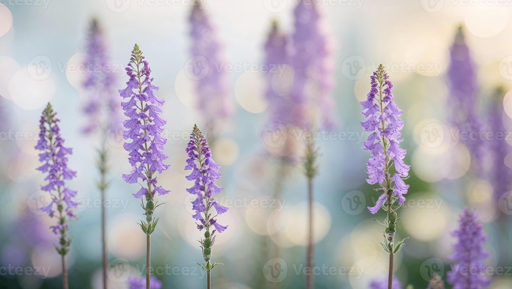 Purple flowers sway gently under soft sunlight near a serene lake during early morning hours in spring photo