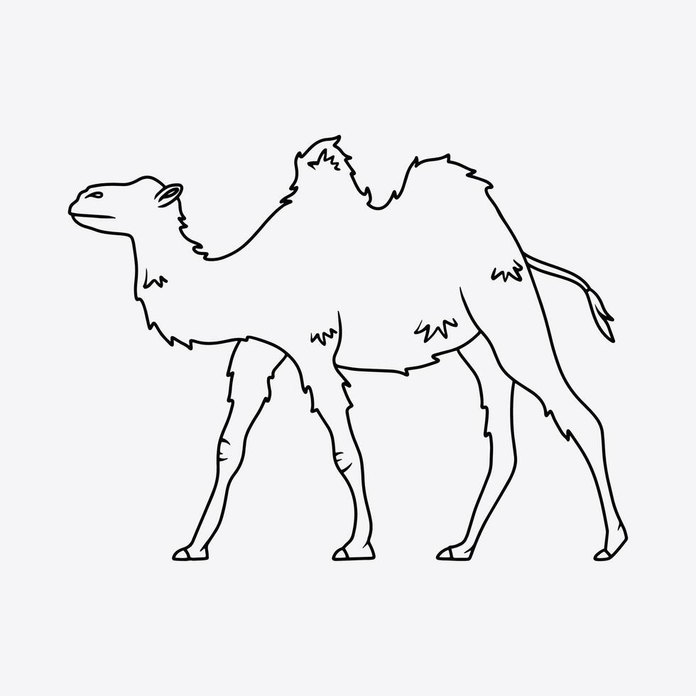 Adorable camel with two humps. Thin line illustration. vector