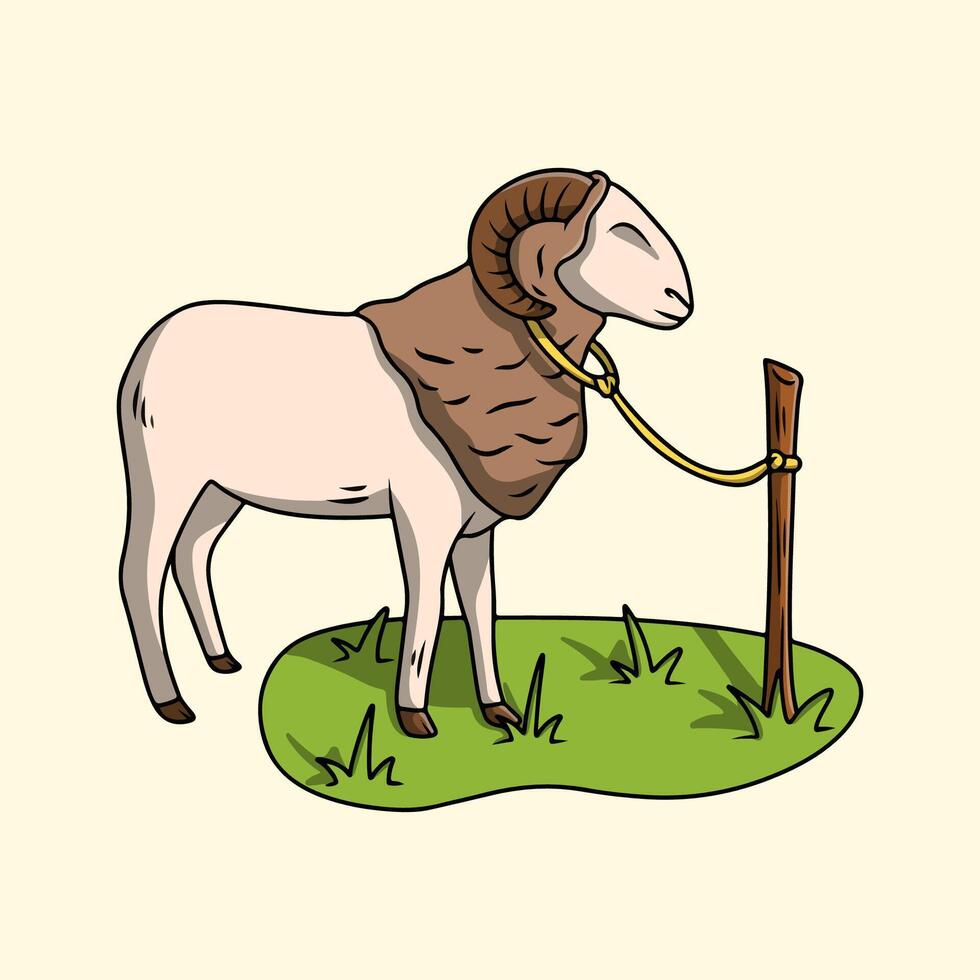 Garut sheep local sheep breed from Indonesia vector