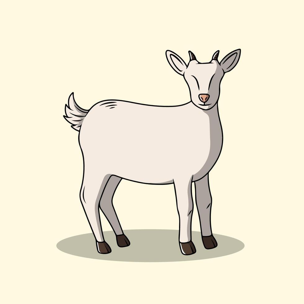 White Lamb with Small Horns vector