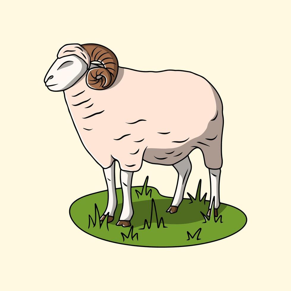 Arrowroot sheep from Indonesia vector