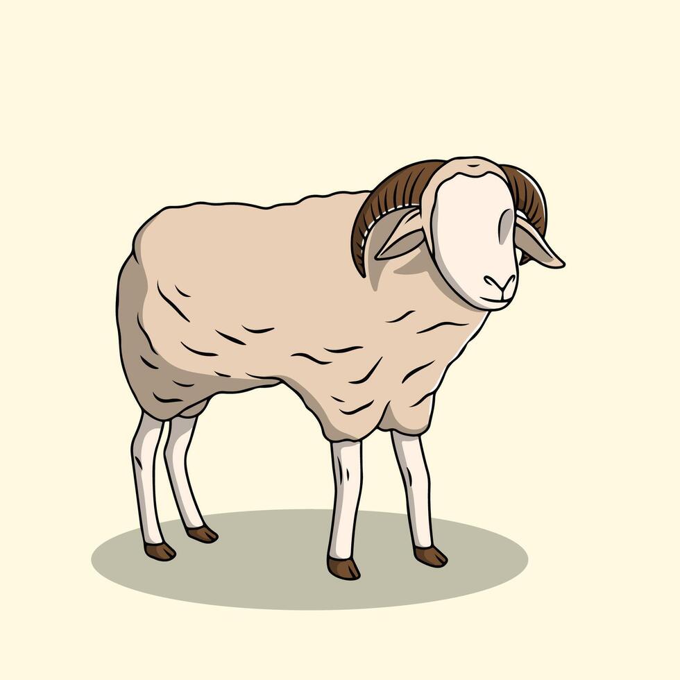 Wooly Sheep with Horns Standing vector